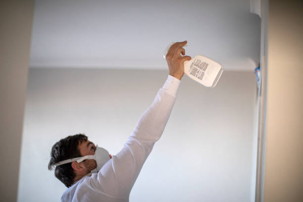 Best Black Mold Remediation in Flossmoor, IL