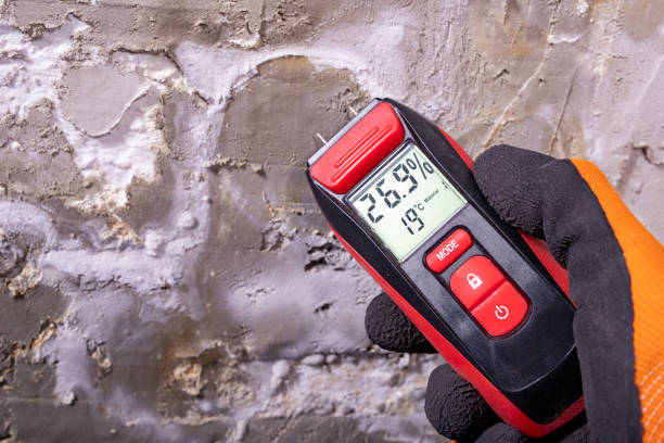 Best Residential Mold Remediation in Flossmoor, IL