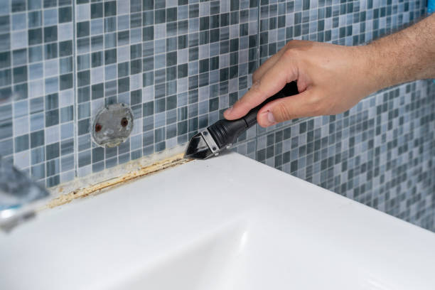 Best Mold Remediation for Schools in Flossmoor, IL