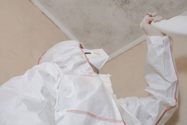 Professional Mold Remediation in Flossmoor, IL